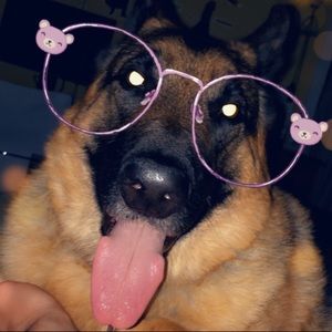 Meet your Posher, Henry